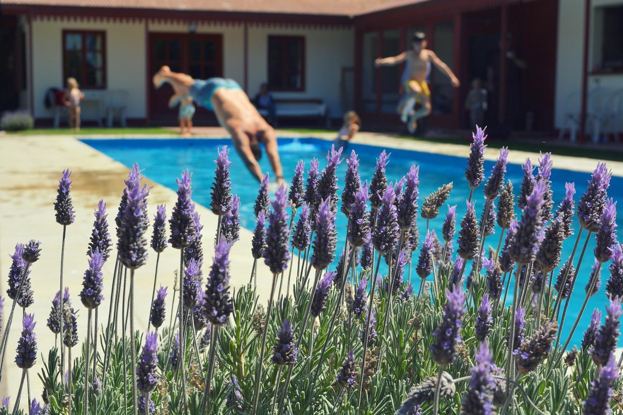 Hotel El Pedral Puerto Madryn Eksteriør billede