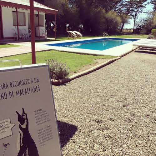 Hotel El Pedral Puerto Madryn Eksteriør billede